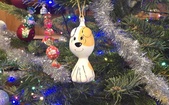 598076349 1379413073973862 2159603693068444515 n