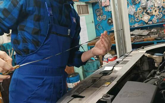 672037475 1476731544242014 4832070915302760319 n